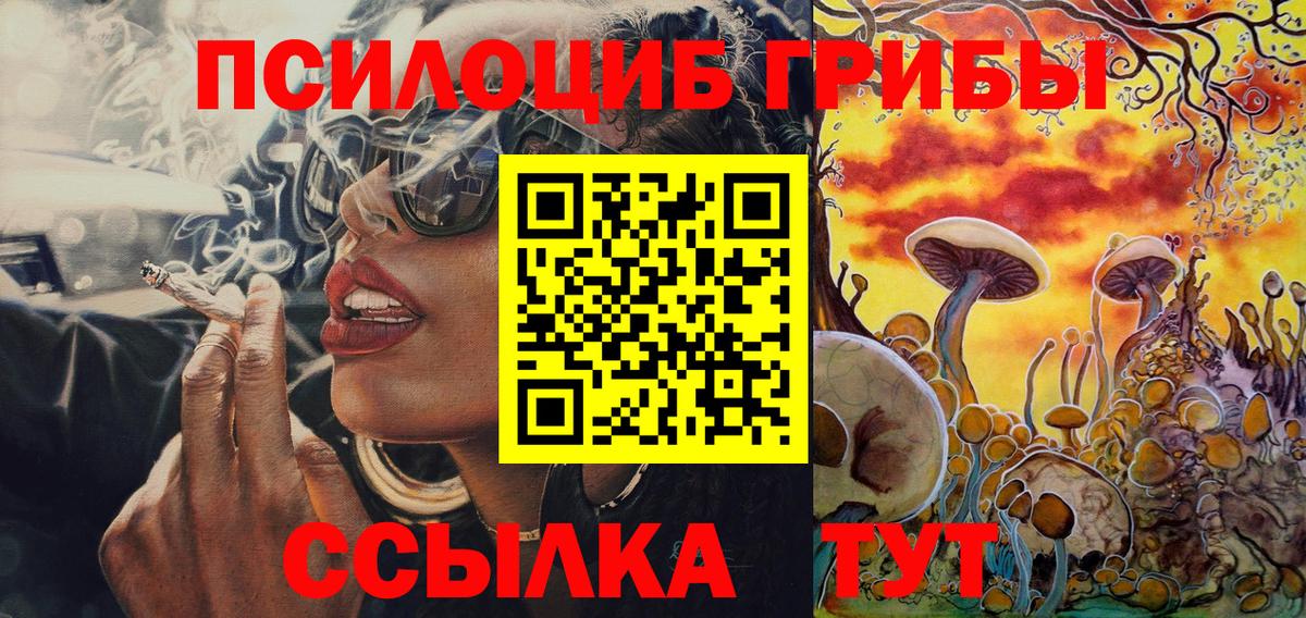 Псилоцибиновые грибы Psilocybine cubensis Белебей